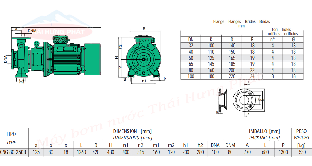 Máy bơm công nghiệp Sealand CNG 80-250B (55kW)
